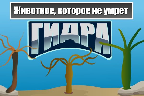 Купить наркотики томск