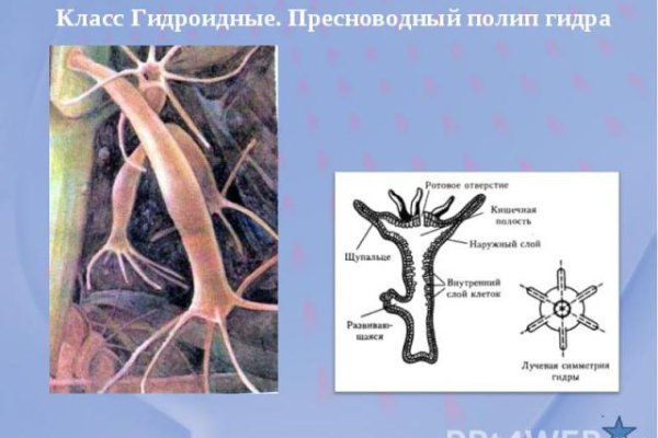 Кракен даркнет не работает