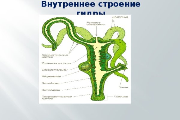 Кракен 16 at