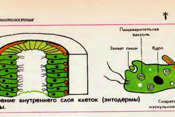 Не заходит на кракен