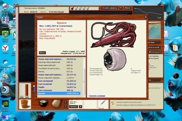 Kraken 11at