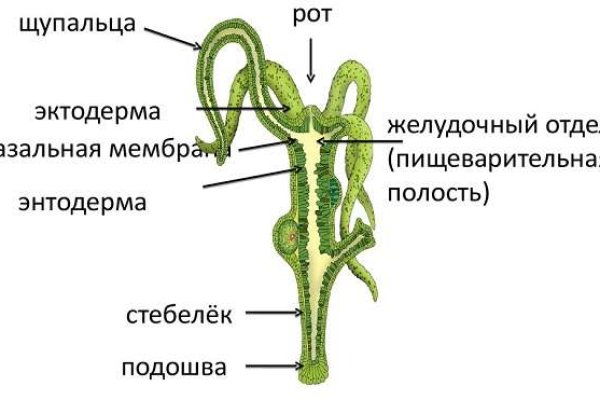 Как зайти на кракен без тора