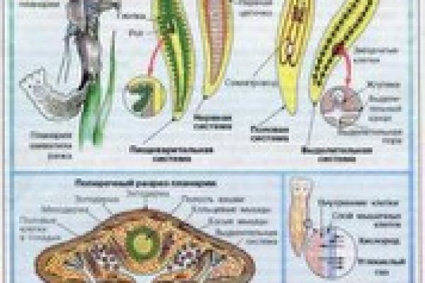 Кракен даркнет только через торг