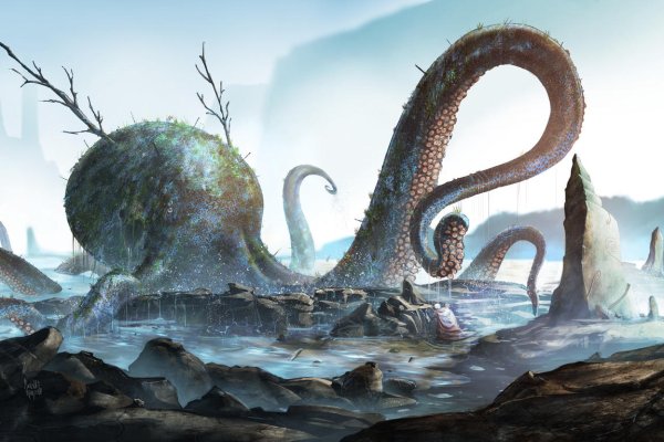 Kraken onion сайта