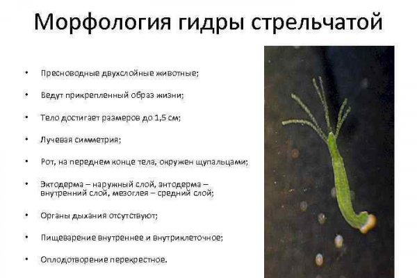 Актуальные ссылки кракен на 2025