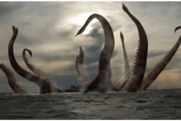 Kraken как найти ссылку
