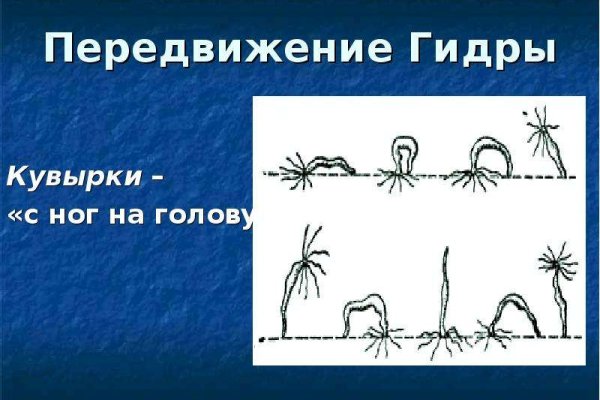 Кракен даркнет маркет ссылка на сайт тор