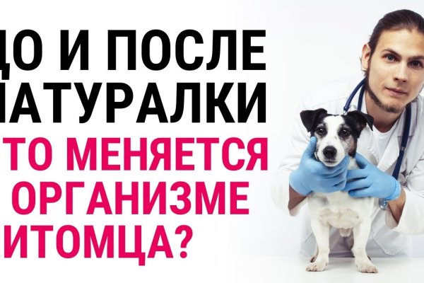 Ссылки для даркнета