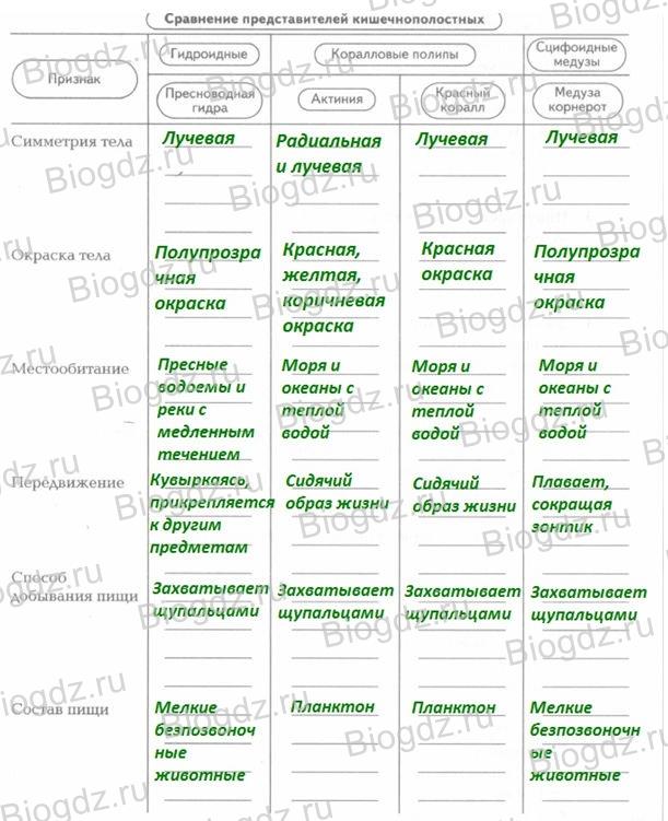 Ссылка на кракен в браузере